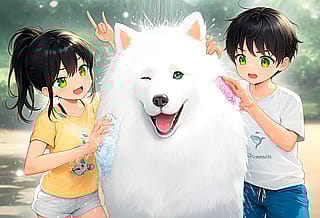 Washing the Dog, Washing the Dog!'