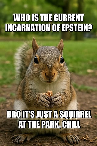 It wouldn't let me make the meme image without the nonsense squirrel part'