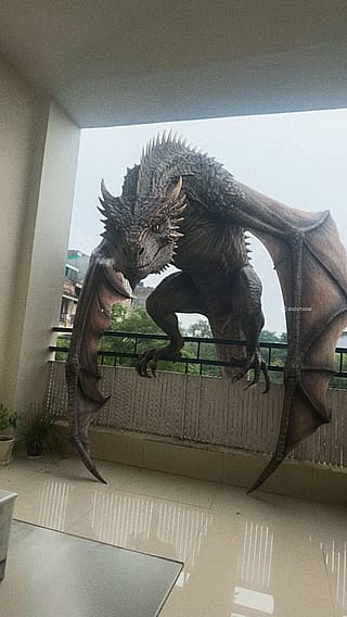 Meet my new pet'