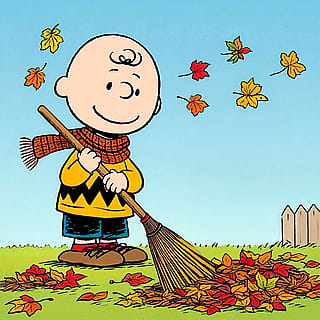 Fall Y’all'
