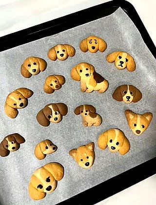 Which is your baby dog'