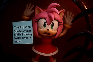 Any Amy Rose Fans?'