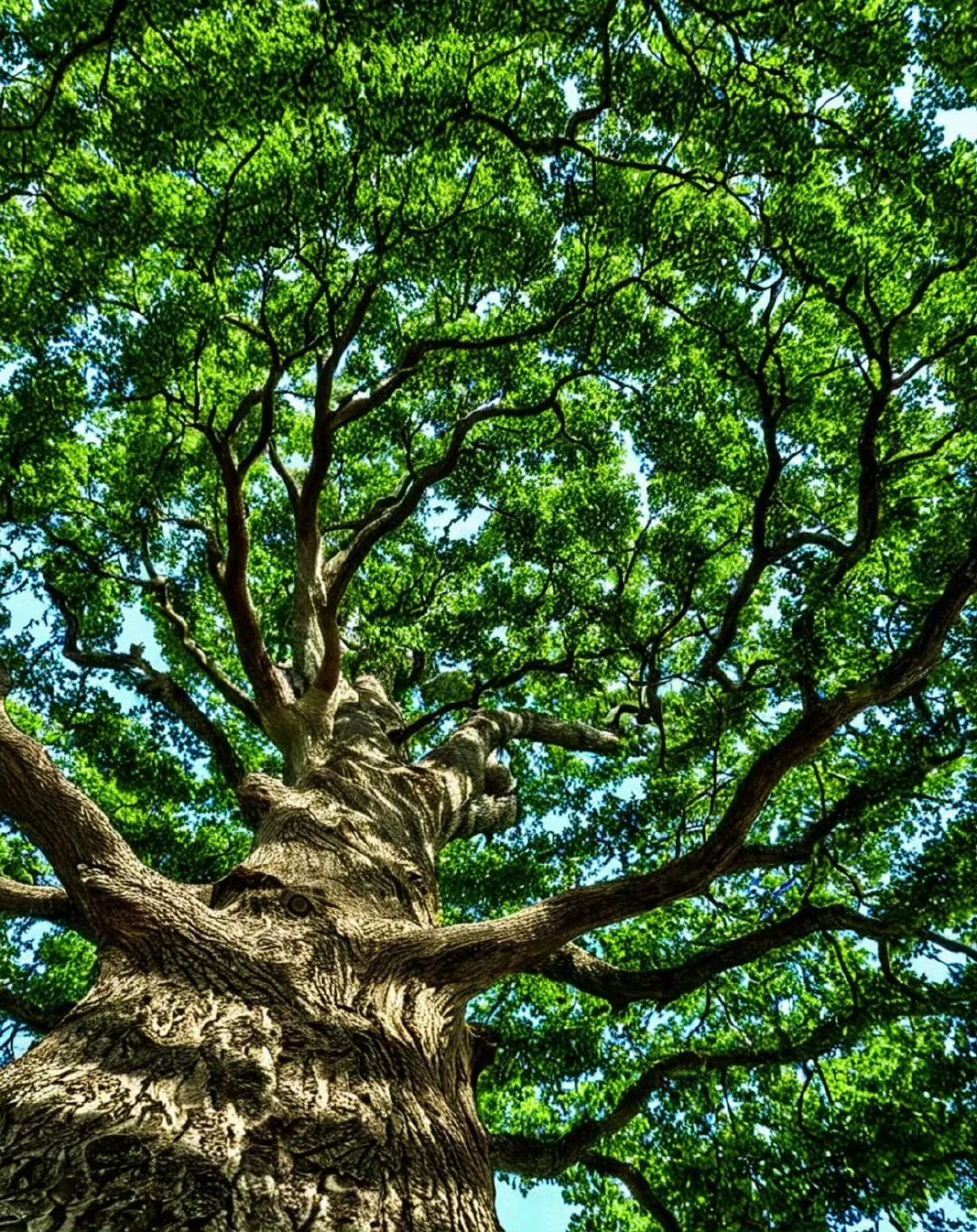The Power of Life picture 1 of 1
