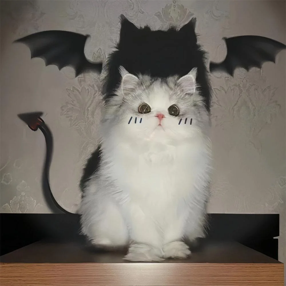 Good and Evil picture 1 of 1