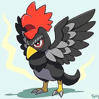 Lightning rooster'