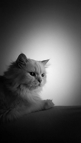 How thoughtful does Bambi look here? A philosopher, you might say XD'