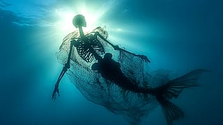 Entangled'