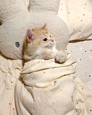 Sleeping time'