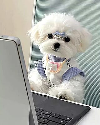 Princesses have to work too.'