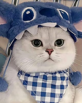 Big eyes'