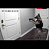 Confident_Kick8370