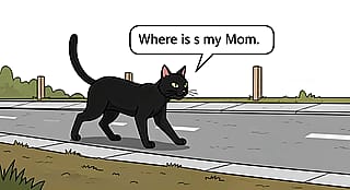 Where is my Mom?'