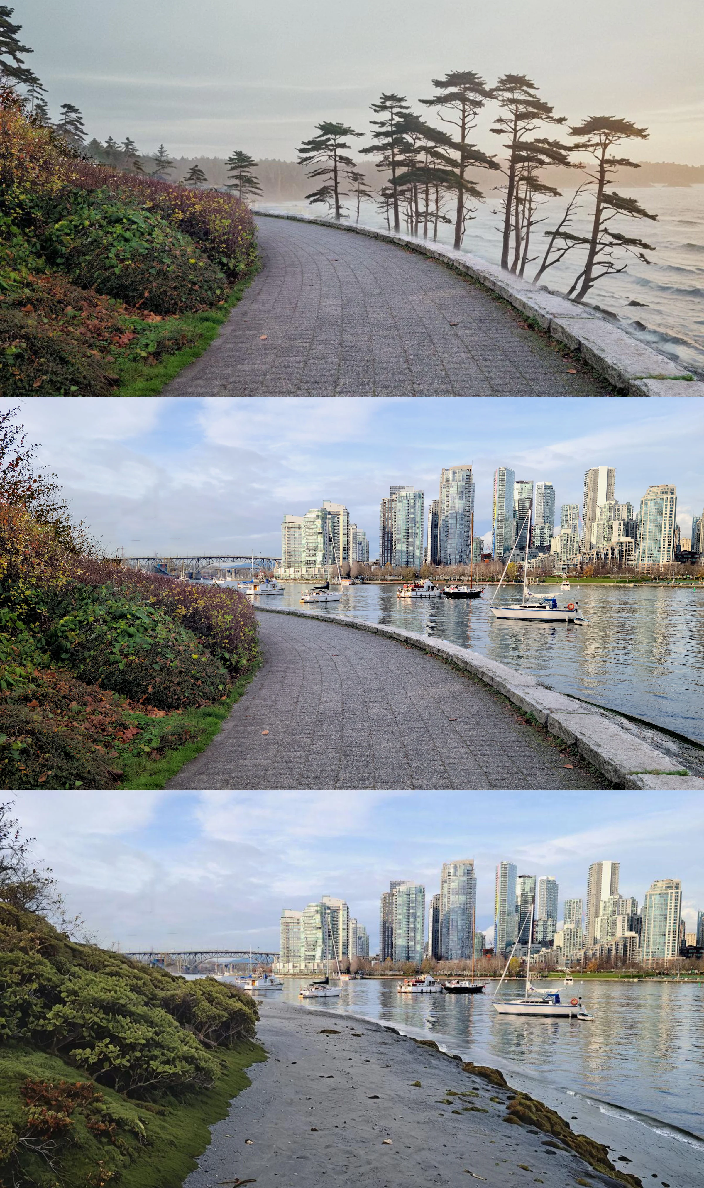 Vancouver Triptych picture 1 of 1