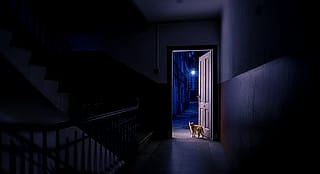 "The Apartment Opening to the Street" (Scene From My Dream)'