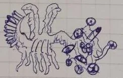 FOLKLORE picture 1 of 2