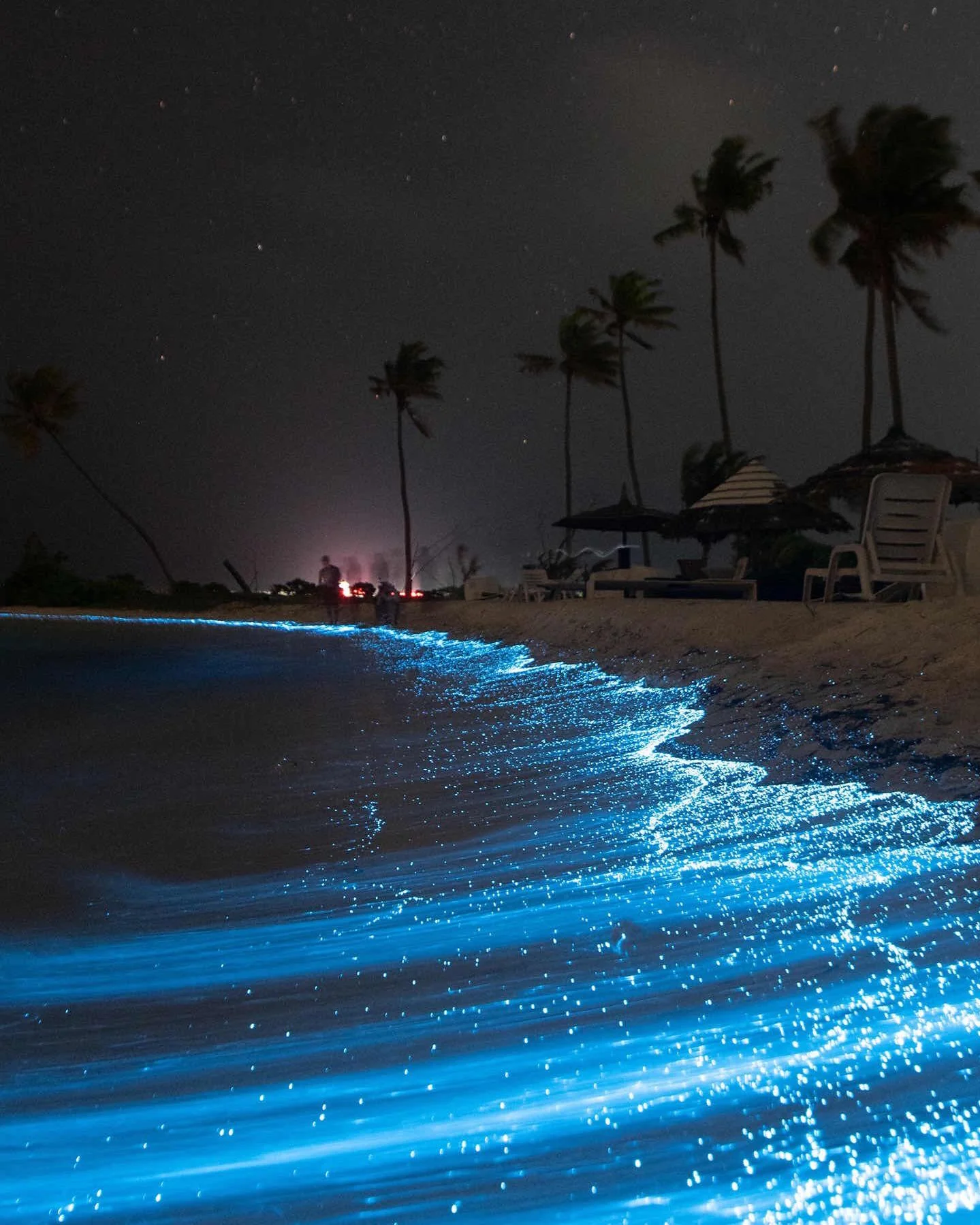 Blue tear picture 1 of 1