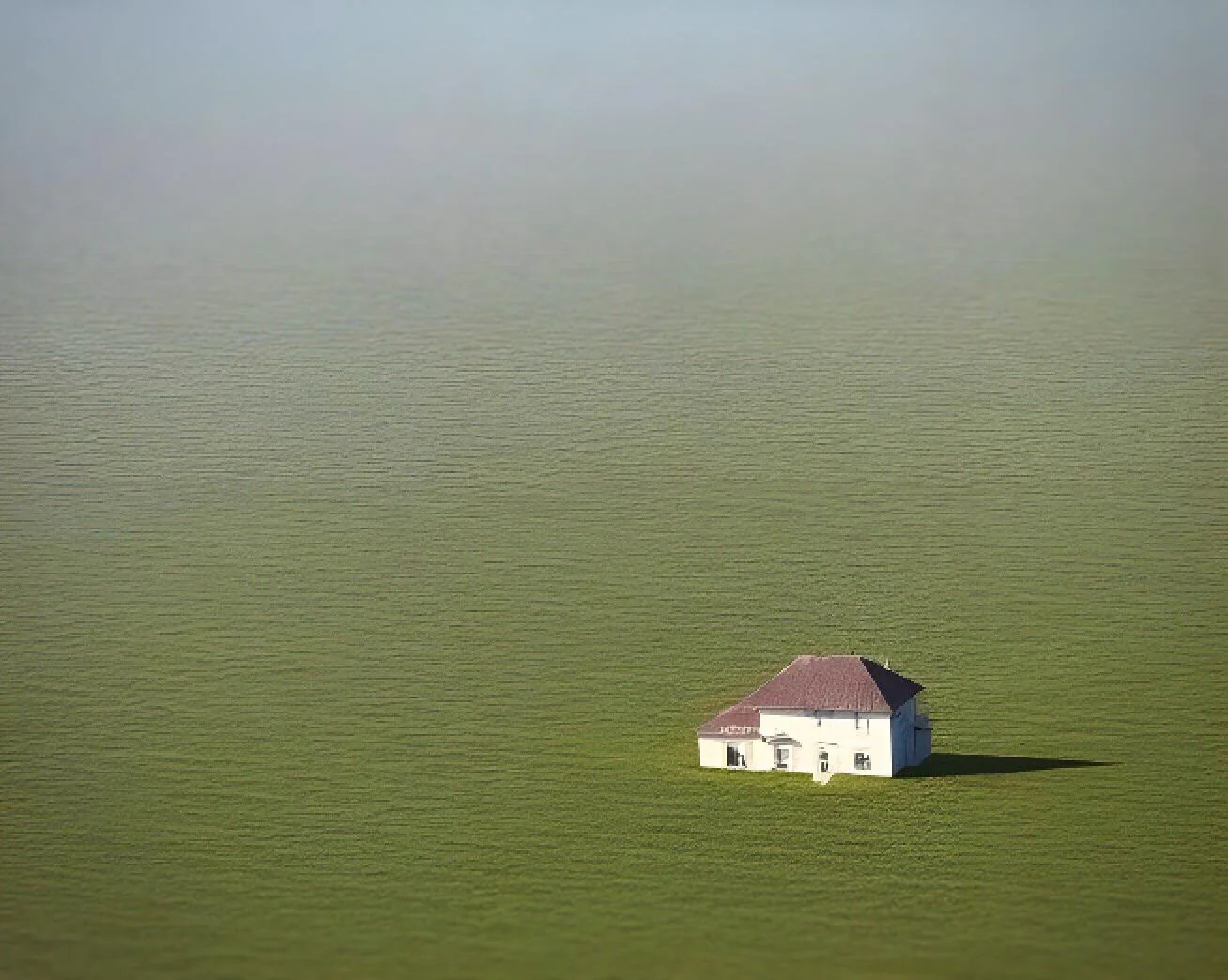 Untitled (No. 3) picture 1 of 1