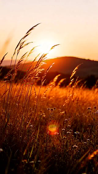 AI-generated wallpapers'