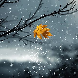 Mentally prepping for winter.'