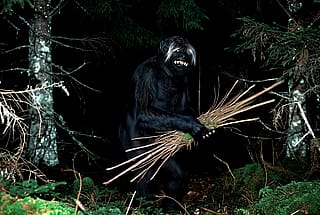 Guess you just got trolled ~'