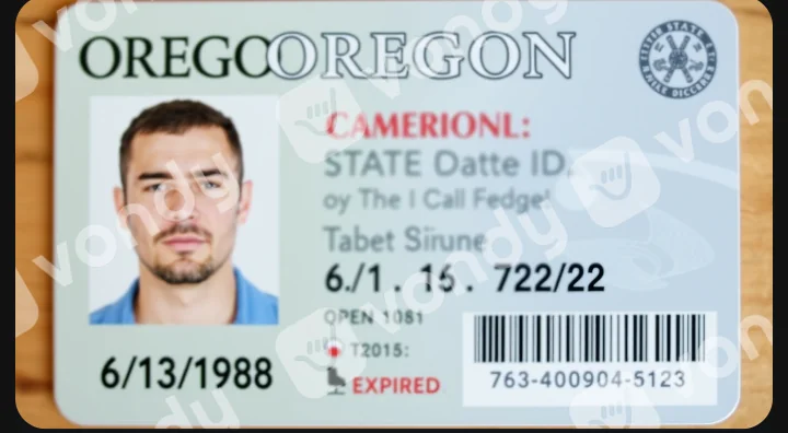 Google is forcing me to verify my age with an ID, so I sent them this: picture 1 of 1