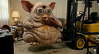 Happy Thanksgiving! 🦃'