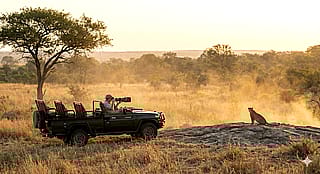 It's your lucky day'