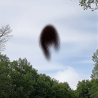 When you cut down trees, what’s left haunts you.'