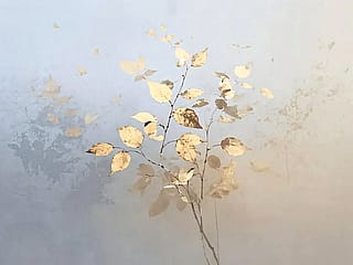 IV - Golden Age, John Emmett, 2025'