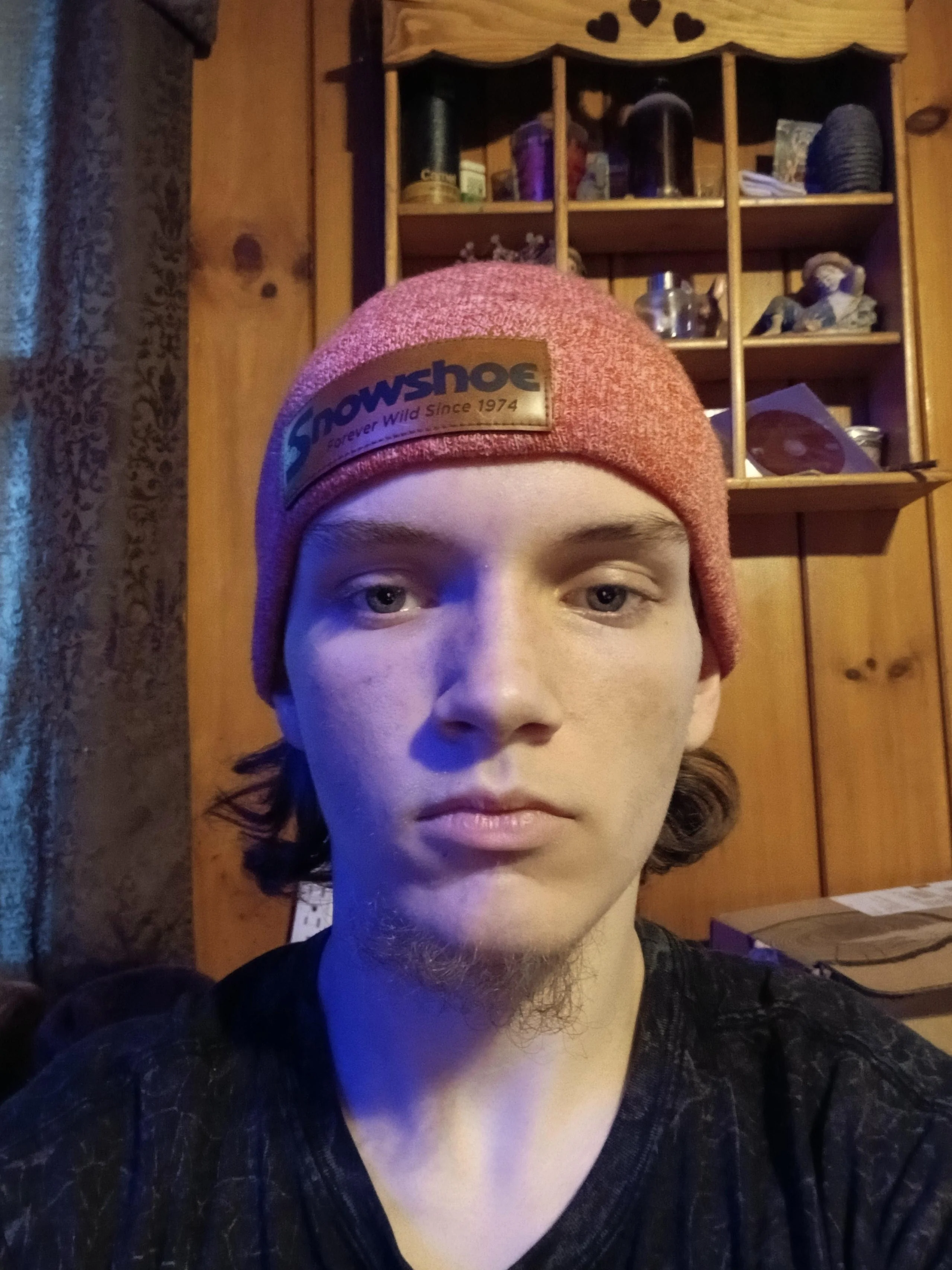 AI Me in the art style of Ralph Bakshi picture 2 of 2