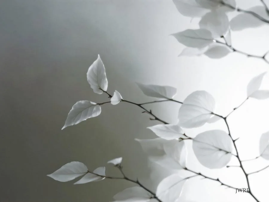 IX - White Tree, John Emmett, 2025 picture 1 of 1