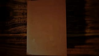 From the beginning of a SNL sketch many people are saying the images look a lot like ai. The swirly vibe in the images look a lot like ai to me'