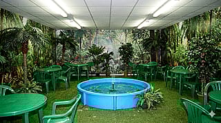 Sometimes when we skipped school with friends, we'd go to that cafe where the sandwiches were cheap.'