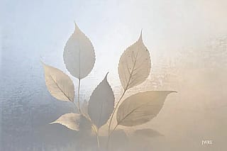 XIV - Fair Realm, John Emmett, 2025'