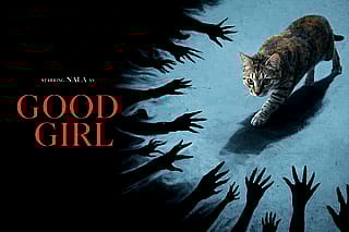 Reimagined the Good Boy movie poster… but make it feline.'