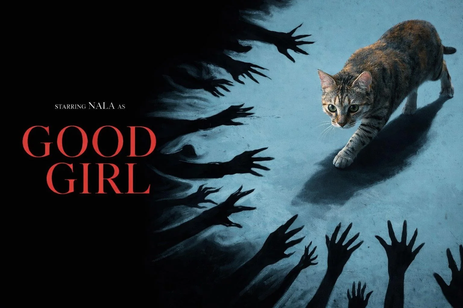 Reimagined the Good Boy movie poster… but make it feline. picture 1 of 1