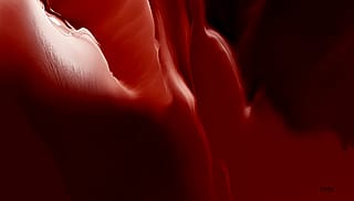 Mars 4, John Emmett, 2026'