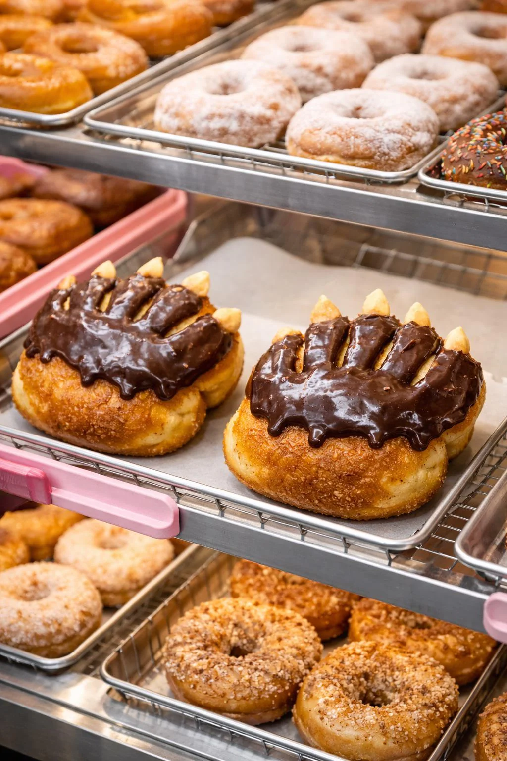 Bear Claws picture 1 of 1