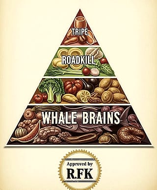 US Nutrition Food Pyramid 2026'