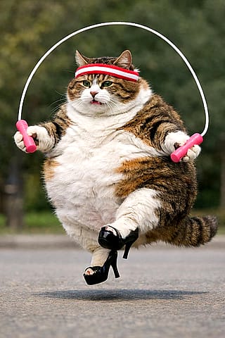 Me trying to lose weight'