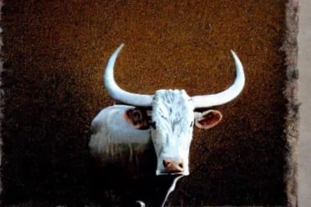 My love of stable diffusion picture 3 of 7