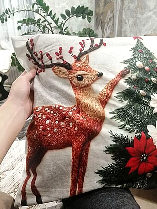 I found this fascinating pillow in my aunt's house. This is so cute. A mutant Christmas reindeer.'
