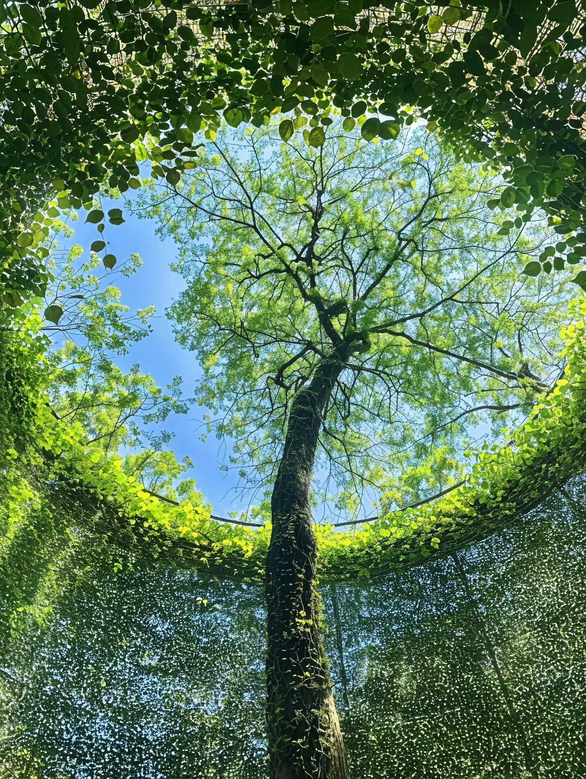 A round circle picture 1 of 1