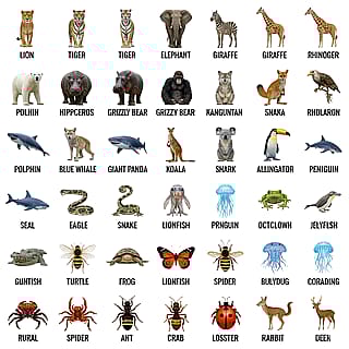"Generate 100 images of animals with their names written below them in a white background"'
