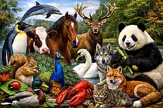 Most beautiful animals'