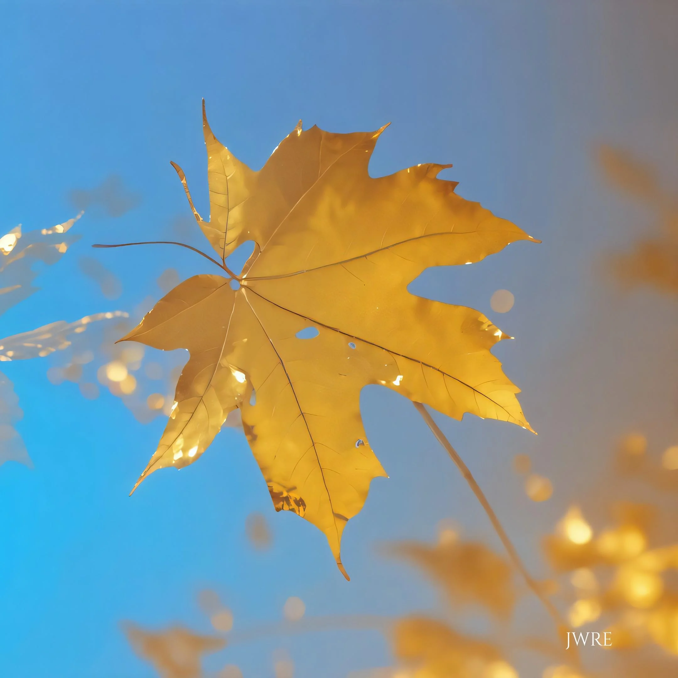 Gold Leaf, John Emmett, 2026 picture 1 of 1