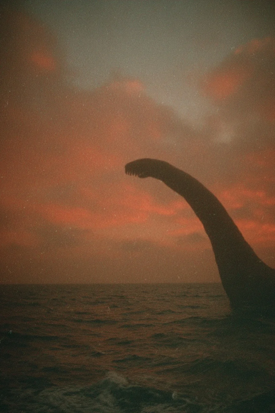 bermuda. picture 1 of 15