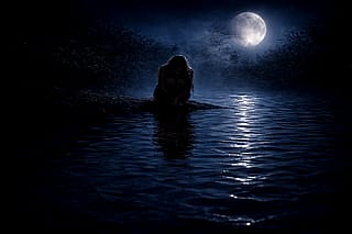 How does this image make you feel?'