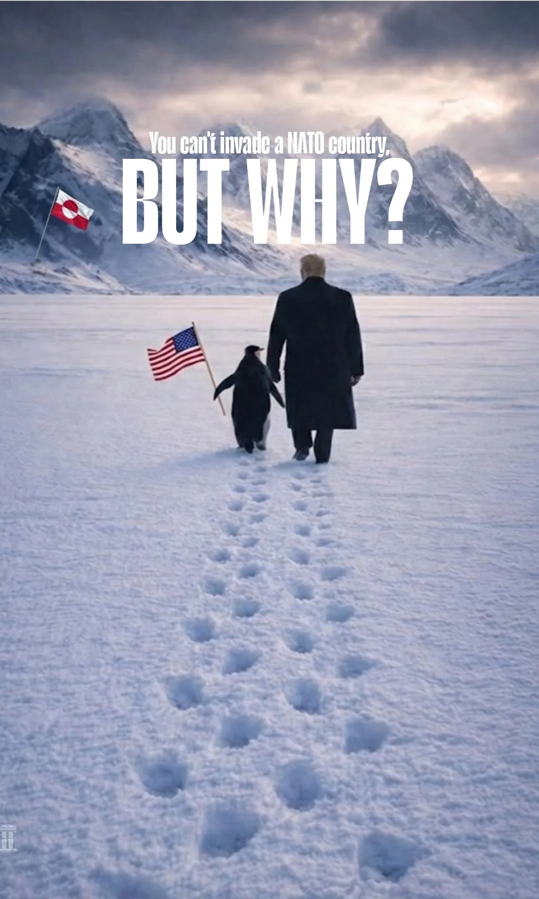 But Why? picture 1 of 1