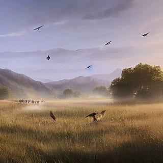 Two birds flying above a meadow it’s so beautiful'